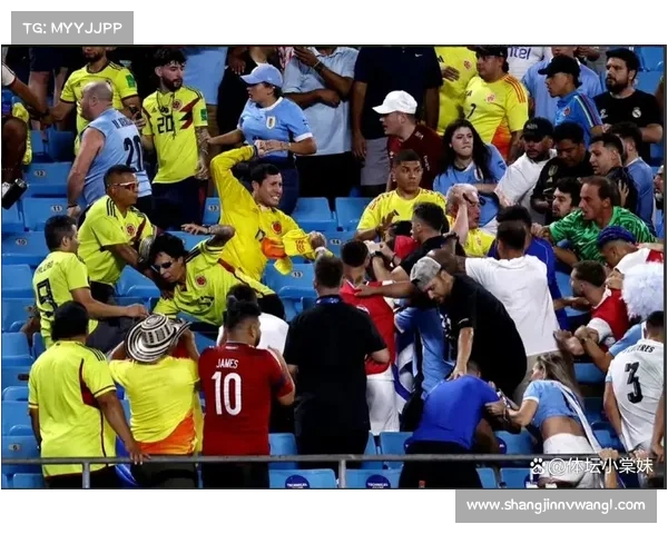 哥伦比亚球迷美洲杯半决赛场内燃放焰火引发比赛中断事件调查