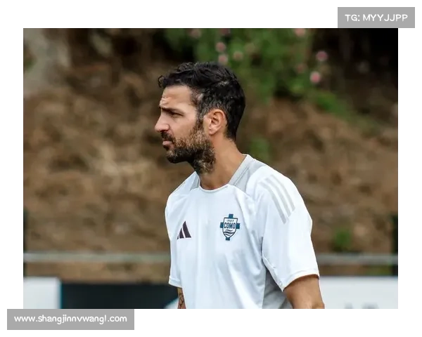 法布雷加斯谈执教科莫：相信过程，努力终会成功