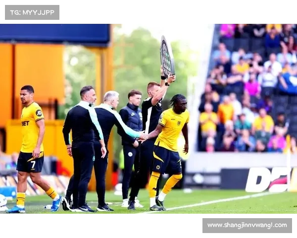 马特乌斯·马内：狼队18岁小将的连续破门与成熟表现